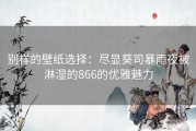 别样的壁纸选择：尽显葵司暴雨夜被淋湿的866的优雅魅力