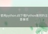 使用python.dll下载Python库时的注意事项