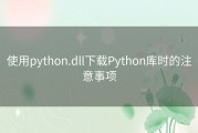 使用python.dll下载Python库时的注意事项