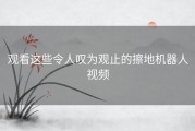 观看这些令人叹为观止的擦地机器人视频