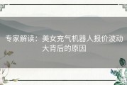 专家解读：美女充气机器人报价波动大背后的原因