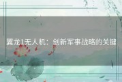 翼龙1无人机：创新军事战略的关键