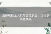 淄博航模无人机与智能农业：现代农场的未来