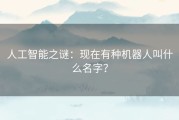 人工智能之谜：现在有种机器人叫什么名字？