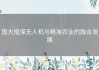 国大植保无人机与精准农业的融合发展