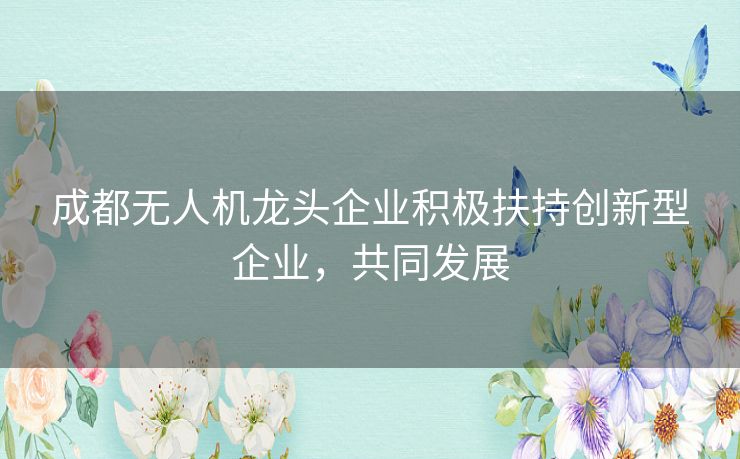 成都无人机龙头企业积极扶持创新型企业，共同发展