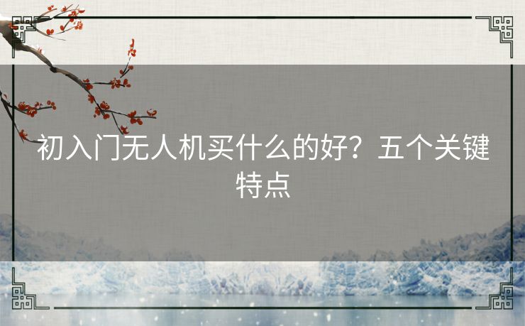 初入门无人机买什么的好？五个关键特点