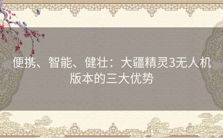 便携、智能、健壮：大疆精灵3无人机版本的三大优势