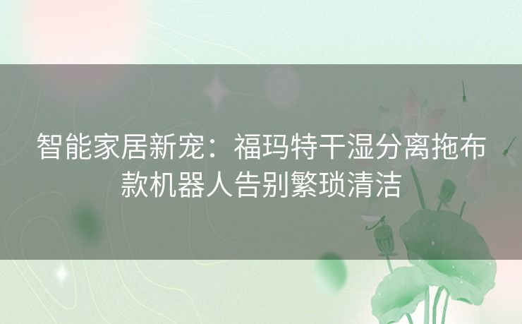 智能家居新宠：福玛特干湿分离拖布款机器人告别繁琐清洁