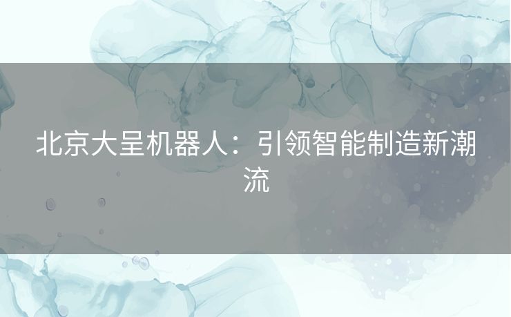 北京大呈机器人：引领智能制造新潮流