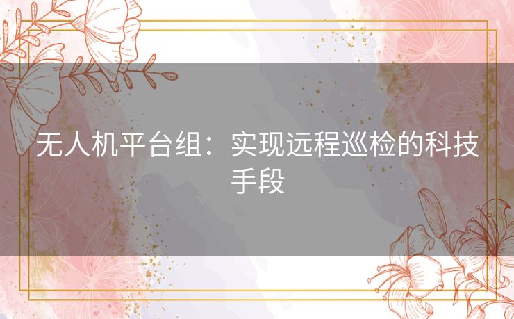 无人机平台组：实现远程巡检的科技手段