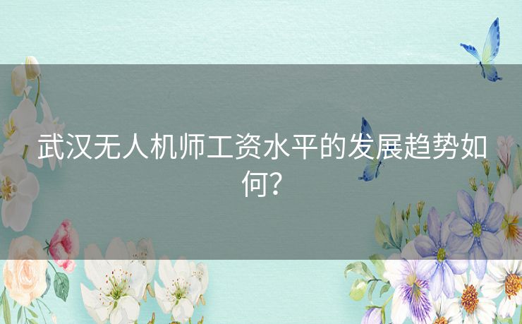 武汉无人机师工资水平的发展趋势如何？