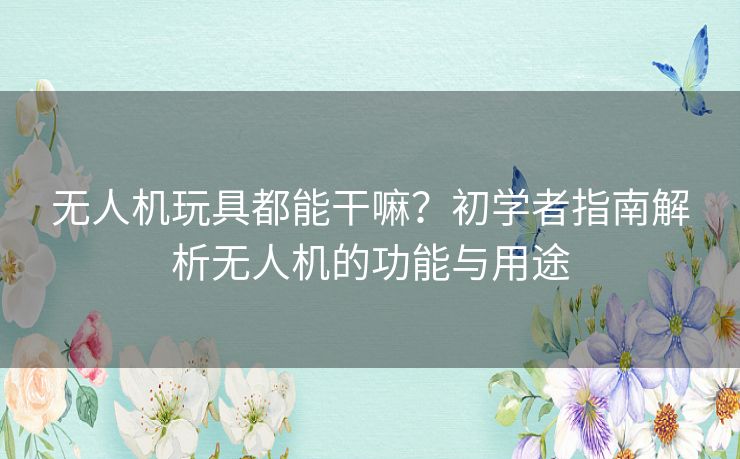 无人机玩具都能干嘛？初学者指南解析无人机的功能与用途