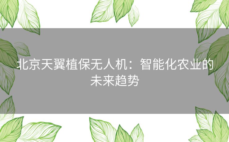 北京天翼植保无人机：智能化农业的未来趋势