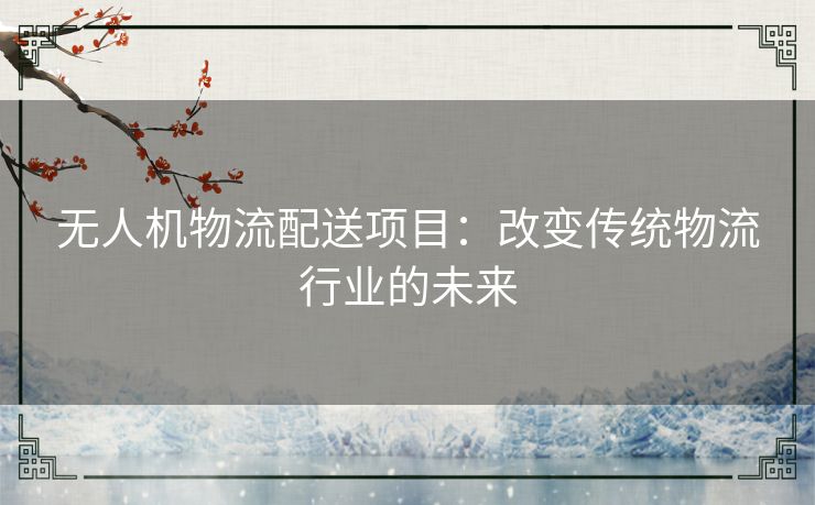 无人机物流配送项目：改变传统物流行业的未来