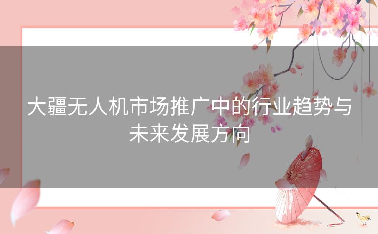 大疆无人机市场推广中的行业趋势与未来发展方向