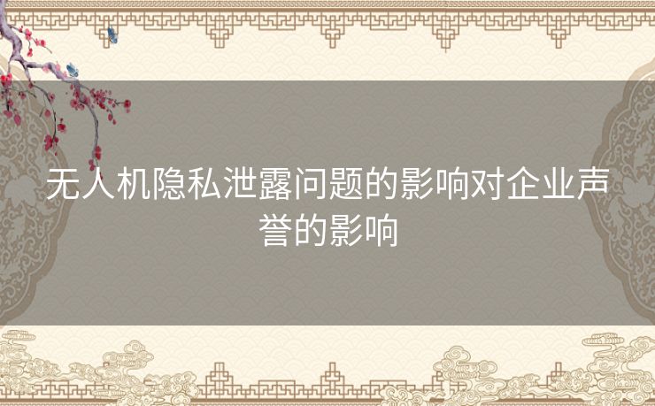 无人机隐私泄露问题的影响对企业声誉的影响