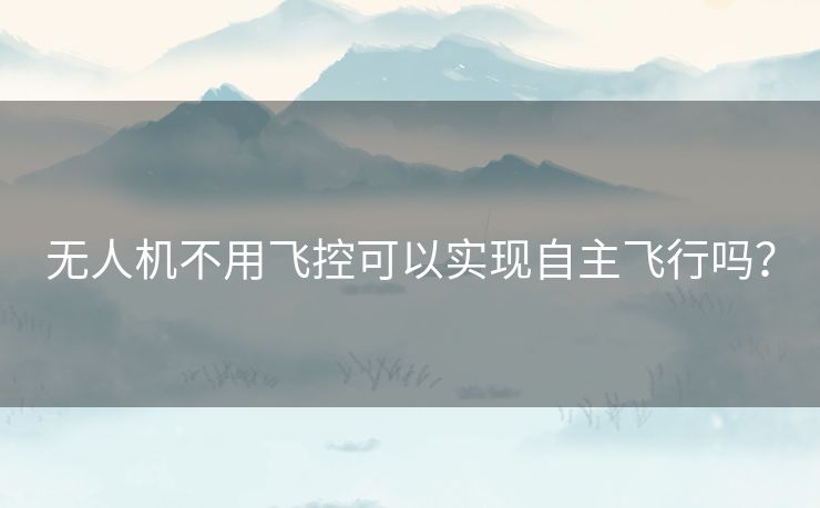 无人机不用飞控可以实现自主飞行吗？