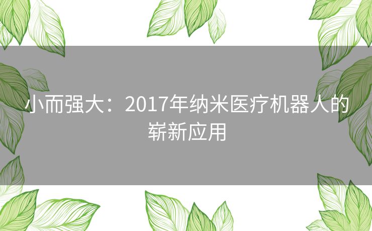 小而强大：2017年纳米医疗机器人的崭新应用