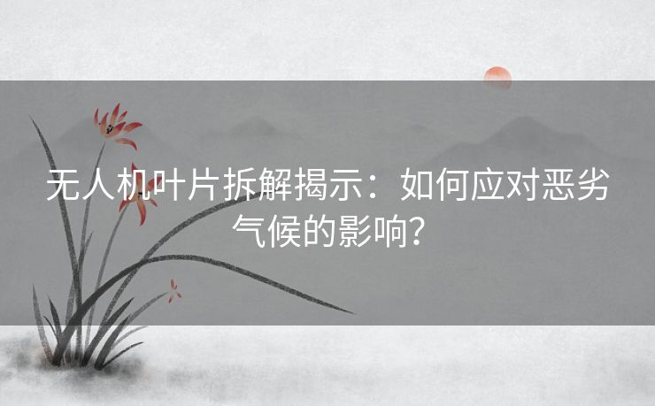 无人机叶片拆解揭示：如何应对恶劣气候的影响？