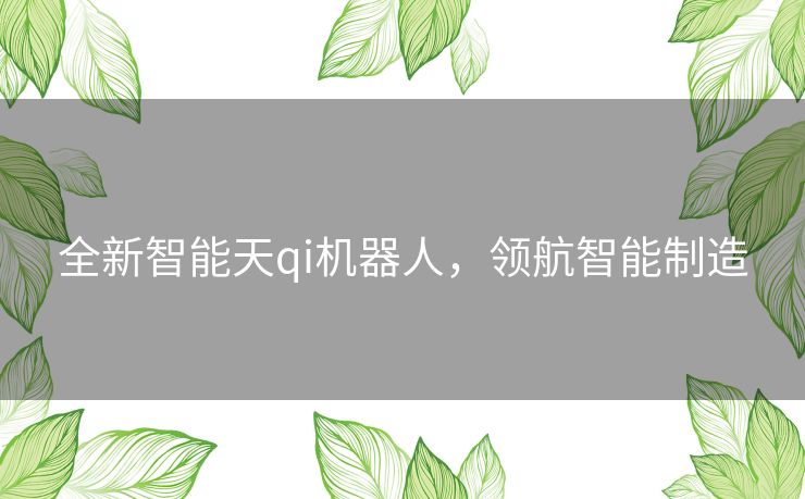 全新智能天qi机器人，领航智能制造