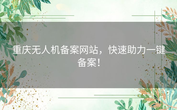 重庆无人机备案网站，快速助力一键备案！