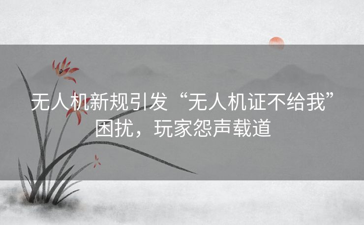 无人机新规引发“无人机证不给我”困扰，玩家怨声载道