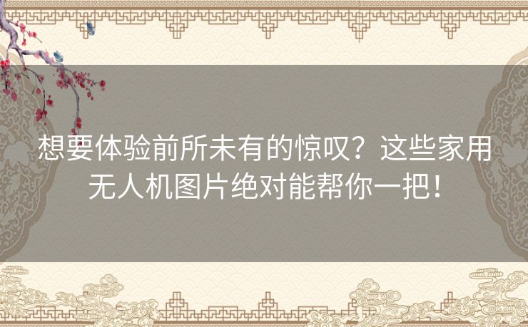 想要体验前所未有的惊叹？这些家用无人机图片绝对能帮你一把！