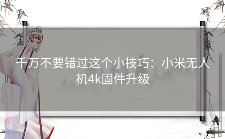 千万不要错过这个小技巧：小米无人机4k固件升级