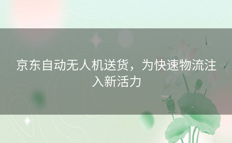 京东自动无人机送货，为快速物流注入新活力