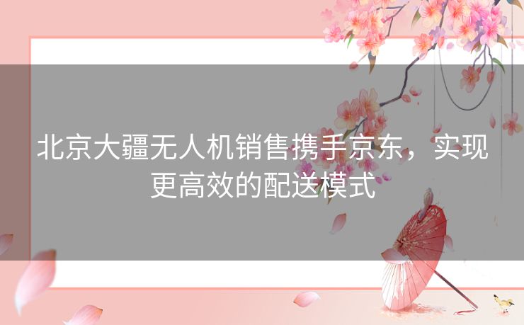 北京大疆无人机销售携手京东，实现更高效的配送模式