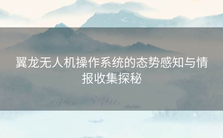 翼龙无人机操作系统的态势感知与情报收集探秘