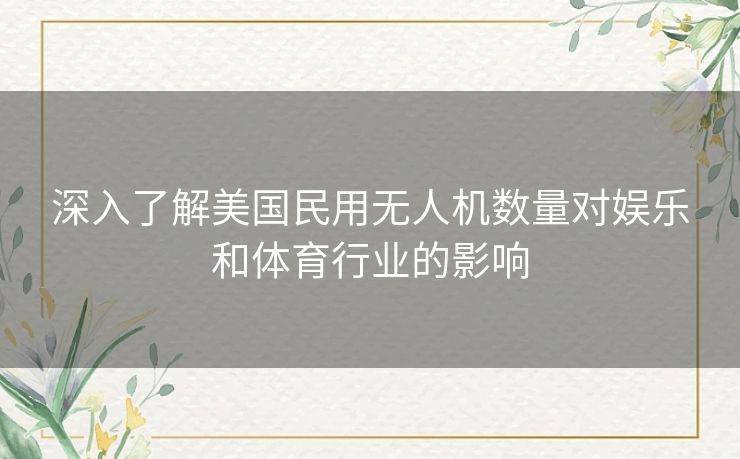 深入了解美国民用无人机数量对娱乐和体育行业的影响