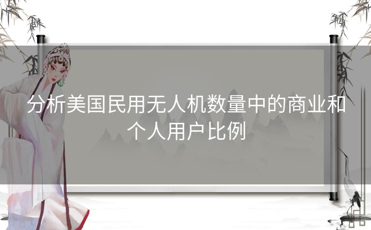 分析美国民用无人机数量中的商业和个人用户比例