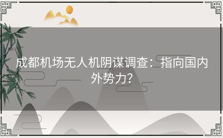 成都机场无人机阴谋调查：指向国内外势力？