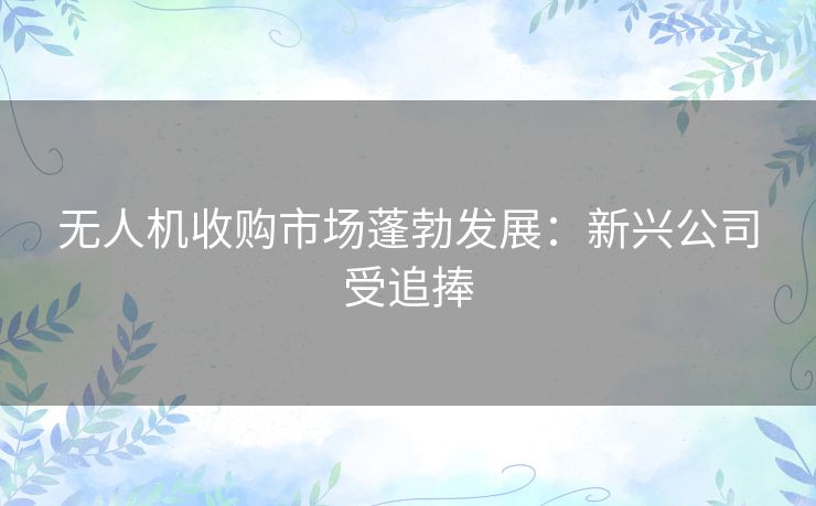 无人机收购市场蓬勃发展：新兴公司受追捧