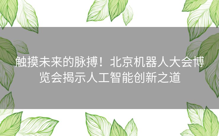 触摸未来的脉搏！北京机器人大会博览会揭示人工智能创新之道