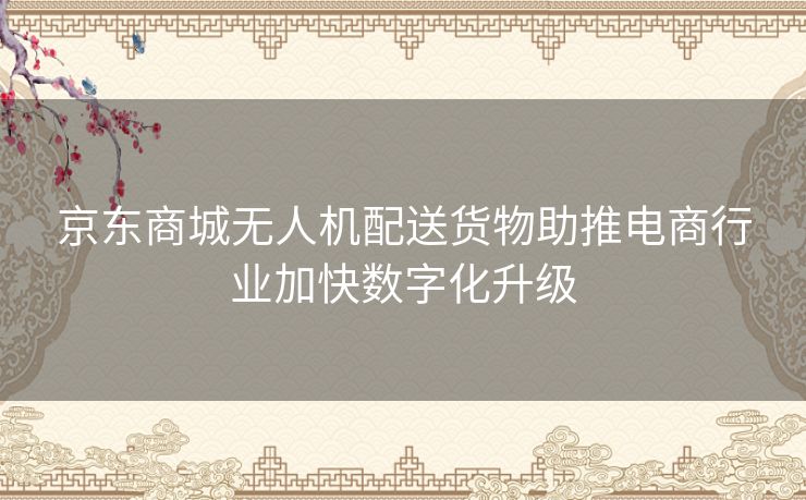 京东商城无人机配送货物助推电商行业加快数字化升级