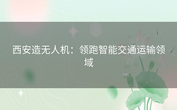 西安造无人机：领跑智能交通运输领域