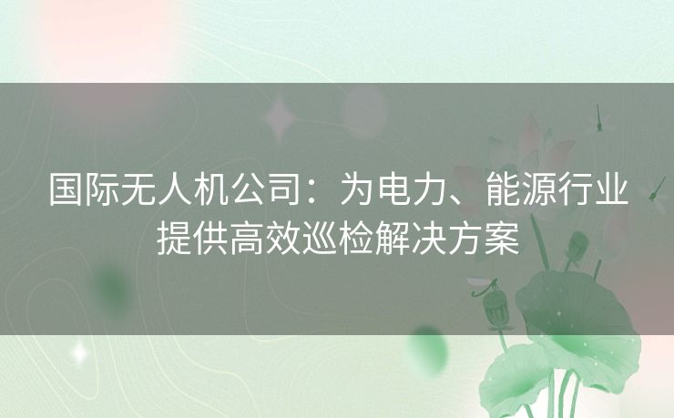 国际无人机公司：为电力、能源行业提供高效巡检解决方案