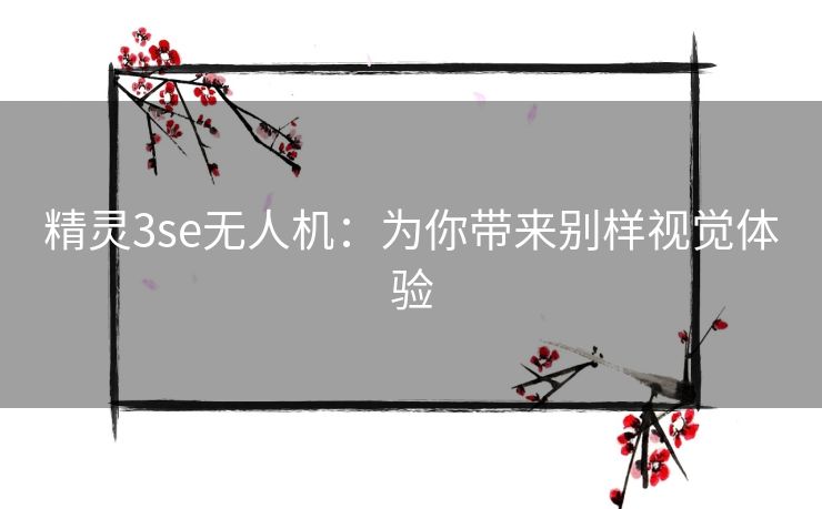 精灵3se无人机：为你带来别样视觉体验