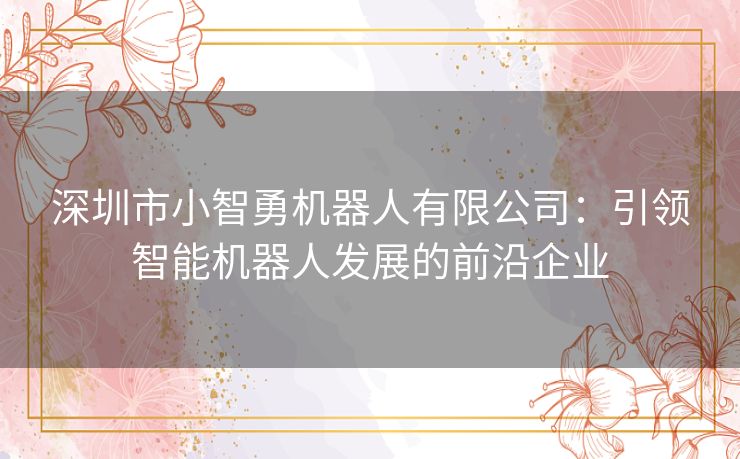 深圳市小智勇机器人有限公司：引领智能机器人发展的前沿企业