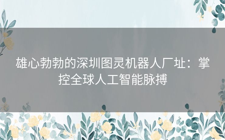 雄心勃勃的深圳图灵机器人厂址：掌控全球人工智能脉搏