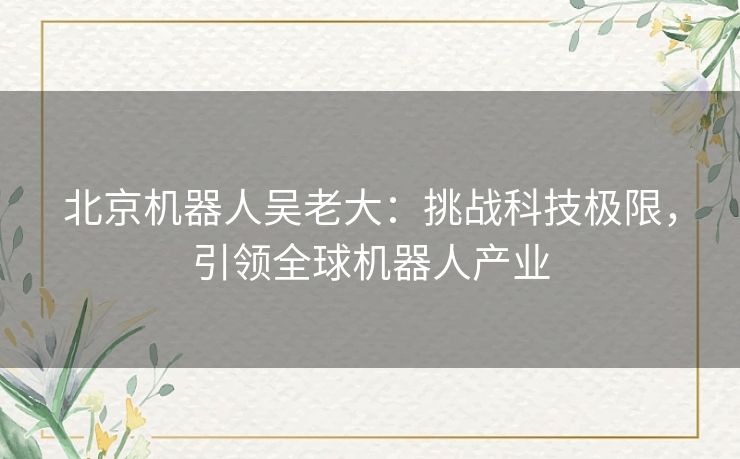 北京机器人吴老大：挑战科技极限，引领全球机器人产业