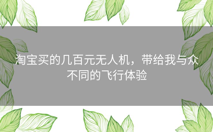 淘宝买的几百元无人机，带给我与众不同的飞行体验