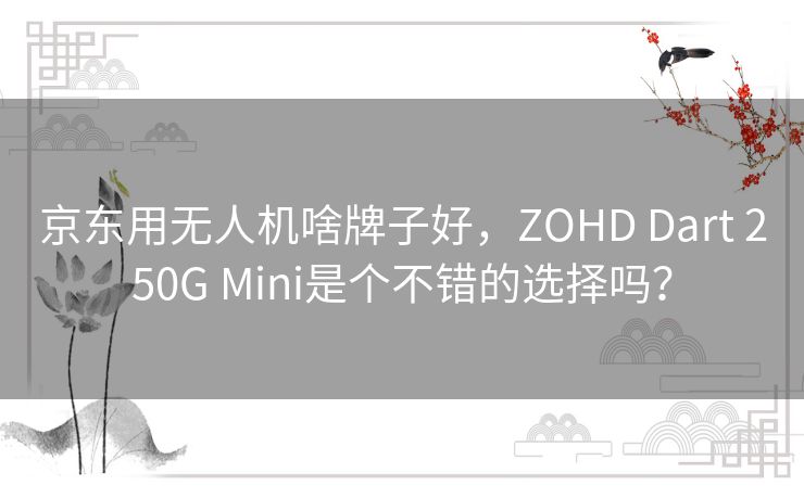 京东用无人机啥牌子好，ZOHD Dart 250G Mini是个不错的选择吗？