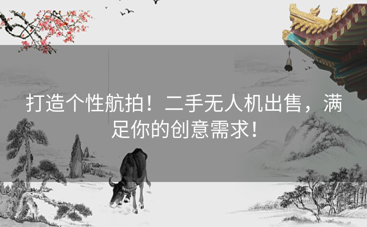 打造个性航拍！二手无人机出售，满足你的创意需求！