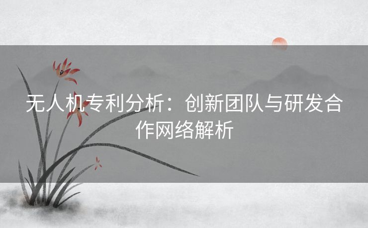 无人机专利分析：创新团队与研发合作网络解析