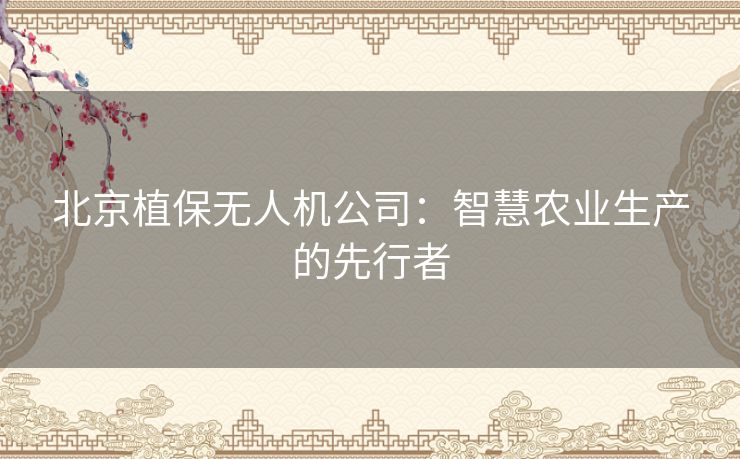 北京植保无人机公司：智慧农业生产的先行者