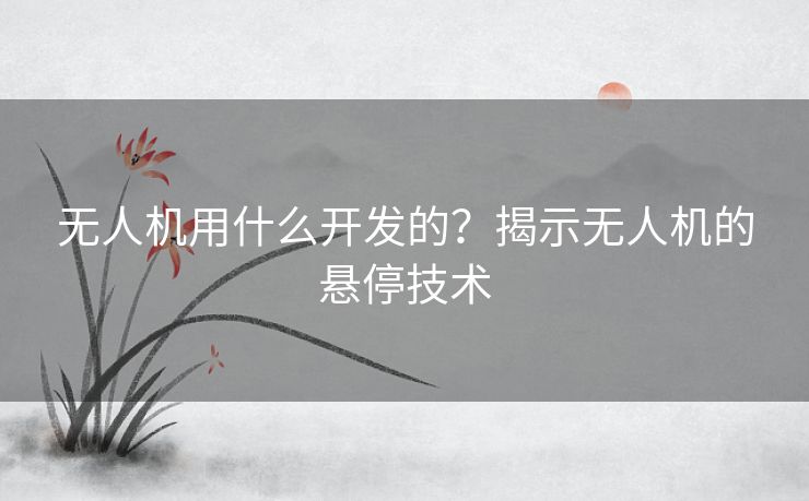 无人机用什么开发的？揭示无人机的悬停技术